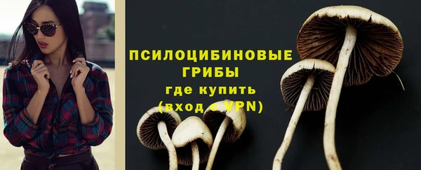 тгк Абинск
